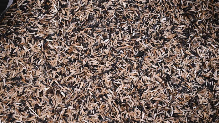 Starting a Small Backyard Composting Project